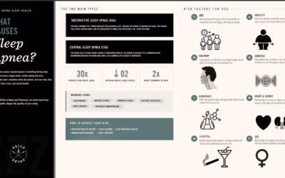 What Causes Sleep Apnea?
